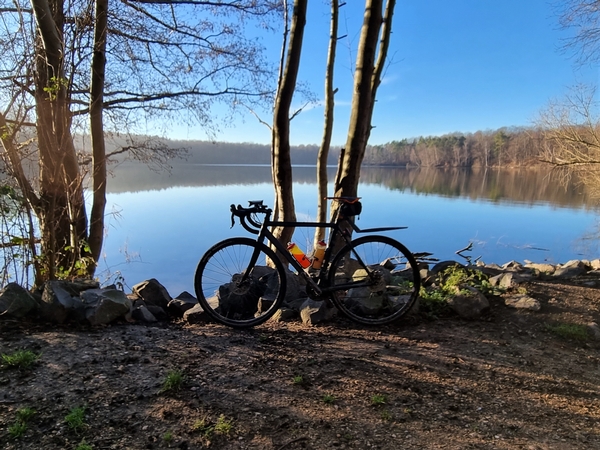 Ein Fahrrad lehnt an einem Baum an, dahinter ist ein großer See zu sehen.
