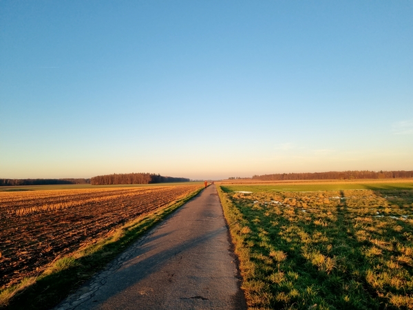 Eine Aufnahme von einem Feldweg in der Abendsonne