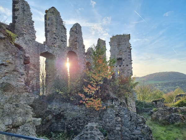 Ein Ausblick auf die Ruinen der Burg Olbrück.