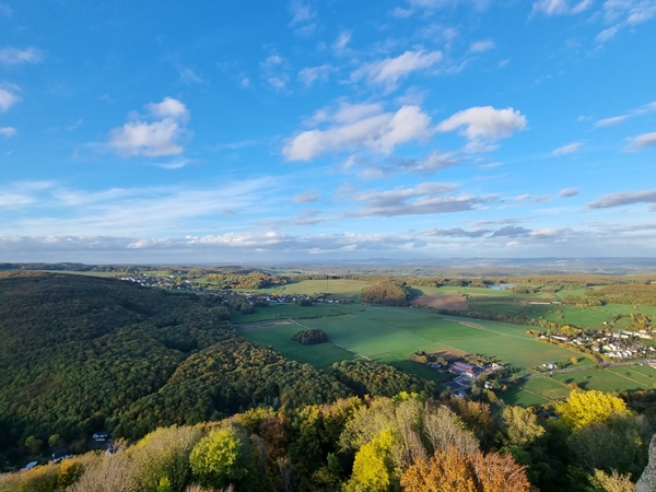 Eine Aufnahme von oben auf eine waldige Landschaft