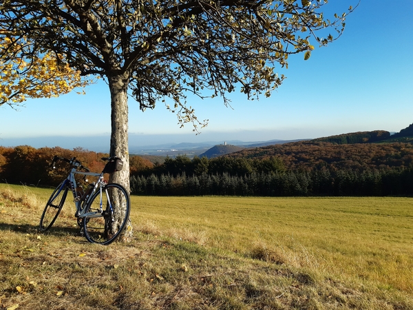 Eine Aufnahme von einem Fahrrad welches an einem Baum lehnt