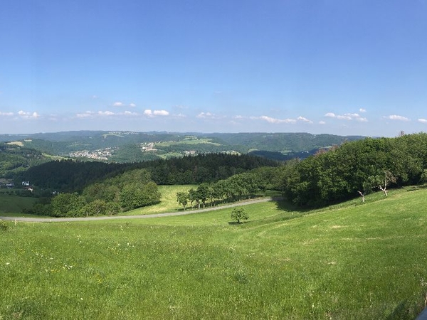 Eine Aufnahme von einer Wiese an einem Aussichtspunkt