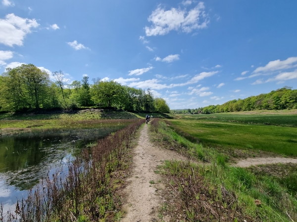 Mehrere Radfahrer fahren einen Feldweg entlang, links von ihnen ist ein See und rechts ein Feld.
