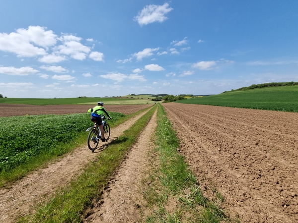 Eine Aufnahme von einem Fahrradfahrer auf einem Feldweg