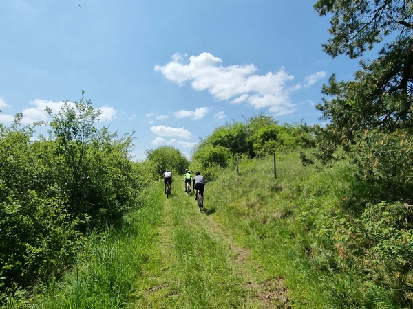 Eine Aufnahme von einer Fahrradtour durch einen grünen Feldweg