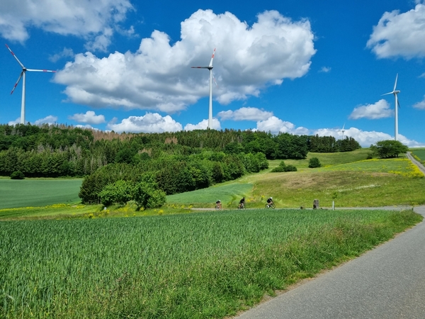 Mehrere Radfahrer fahren über eine Straße inmitten grüner Felder.