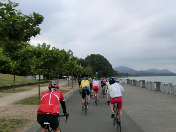 Mehrere Fahrradfahrer fahren am Rhein entlang.