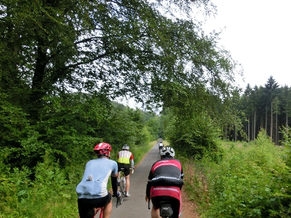 Mehrere Fahrradfahrer fahren durch die Natur, Bild von Markus Neschen.