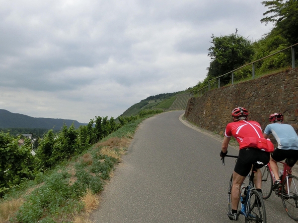 Mehrere Fahrradfahrer fahren eine Erhöhung in der Natur hinauf.