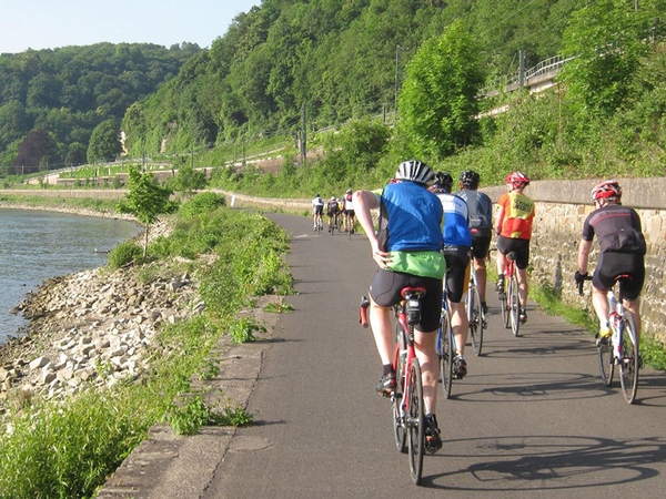 Mehrere Fahrradfahrer fahren am Rhein entlang.