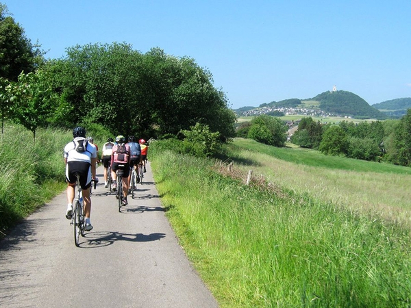 Mehrere Fahrradfahrer fahren einen Feldweg entlang.