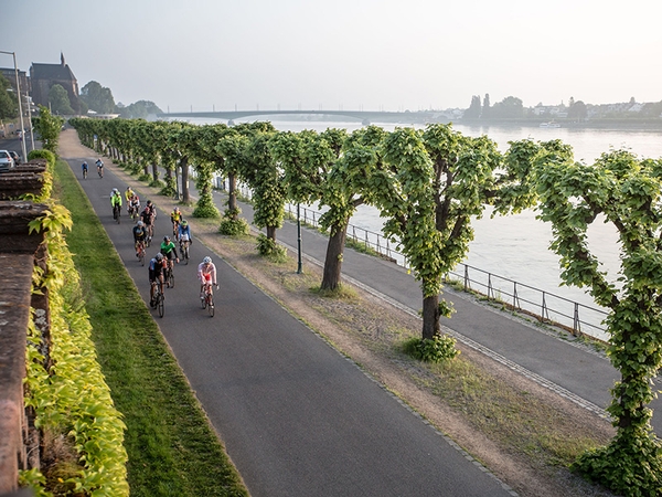 Mehrere Fahrradfahrer fahren eine Straße neben dem Rhein entlang, Bild von Dennis Stratmann.