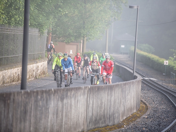 Mehrere Fahrradfahrer fahren eine Straße hinauf.