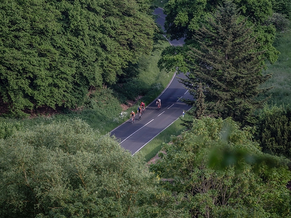 Mehrere Fahrradfahrer fahren eine Straße an einem Waldstück entlang.