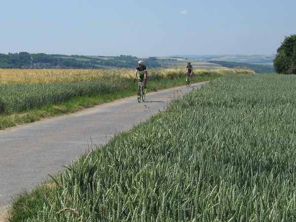 Zwei Fahrradfahrer fahren eine Straße in der Natur entlang.