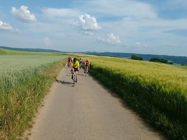 Mehrere Fahrradfahrer fahren eine Straße in der Natur entlang.