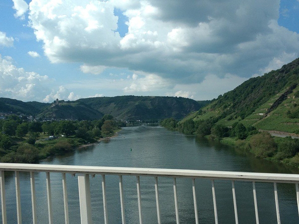 Ein Bild vom Rhein.