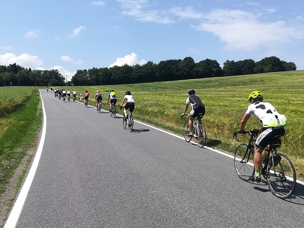 Mehrere Fahrradfahrer fahren eine Straße in der Natur entlang.