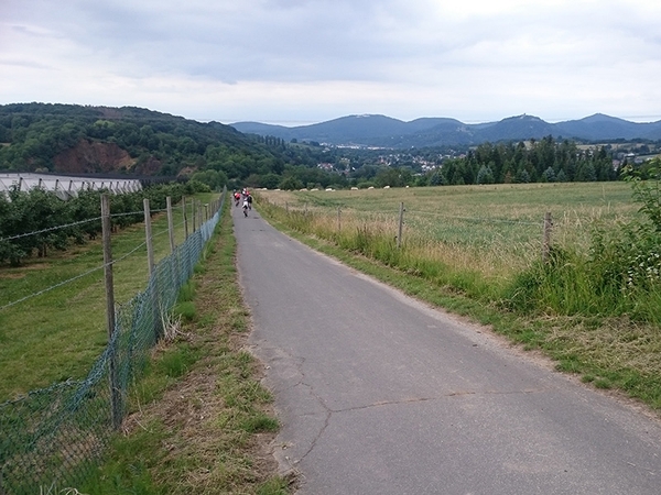 Mehre Fahrradfahrer fahren einen Feldweg entlang.
