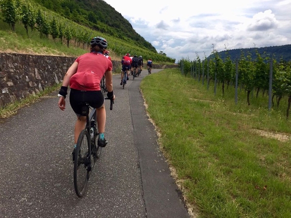 Mehrere Fahrradfahrer fahren einen Feldweg entlang.