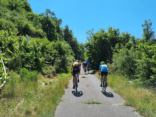 Mehrere Fahrradfahrer fahren einen Feldweg entlang.