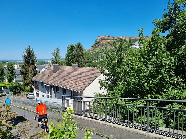 Mehrere Fahrradfahrer fahren eine Straße hinunter.