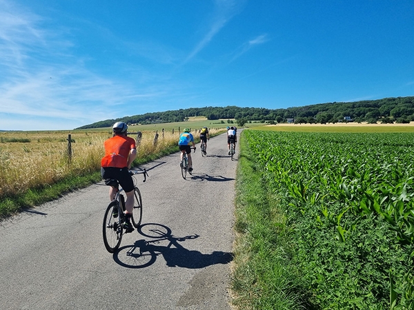 Mehrere Fahrradfahrer fahren einen Feldweg entlang.