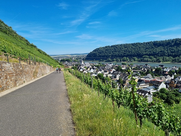 Mehrere Fahrradfahrer fahren einen Abhang hinab.