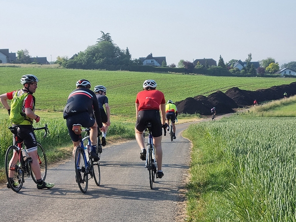 Mehrere Fahrradfahrer fahren einen Feldweg entlang.