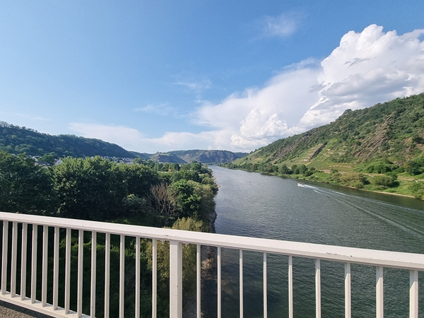 Ein Ausblick auf den Rhein.